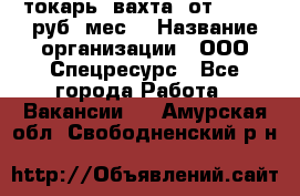 токарь. вахта. от 50 000 руб./мес. › Название организации ­ ООО Спецресурс - Все города Работа » Вакансии   . Амурская обл.,Свободненский р-н